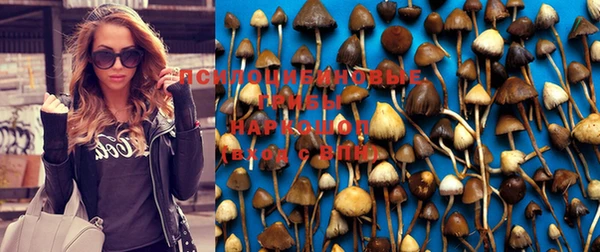 дурь Алексеевка