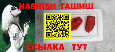 стафф Кингисепп
