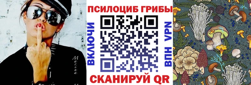 купить наркотик  ОМГ ОМГ tor  Псилоцибиновые грибы Psilocybine cubensis  Краснознаменск 