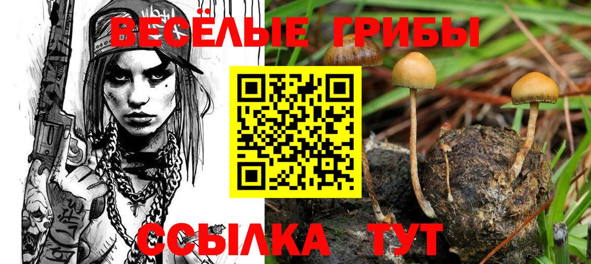 Псилоцибиновые грибы мицелий Краснознаменск